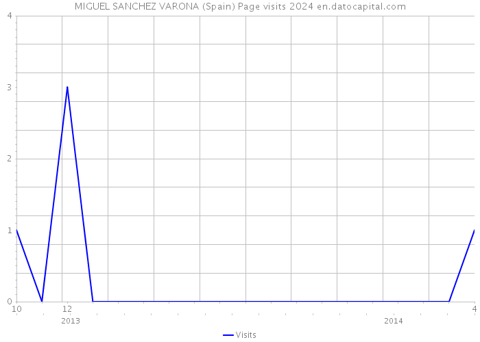 MIGUEL SANCHEZ VARONA (Spain) Page visits 2024 