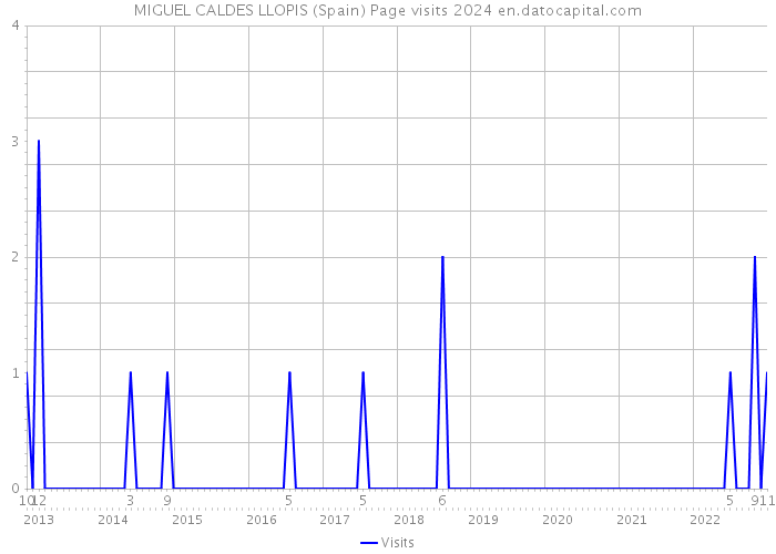 MIGUEL CALDES LLOPIS (Spain) Page visits 2024 