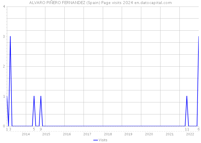 ALVARO PIÑERO FERNANDEZ (Spain) Page visits 2024 