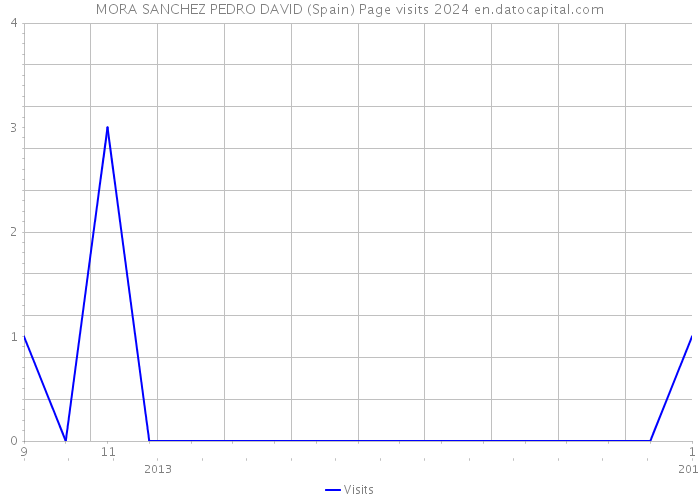 MORA SANCHEZ PEDRO DAVID (Spain) Page visits 2024 