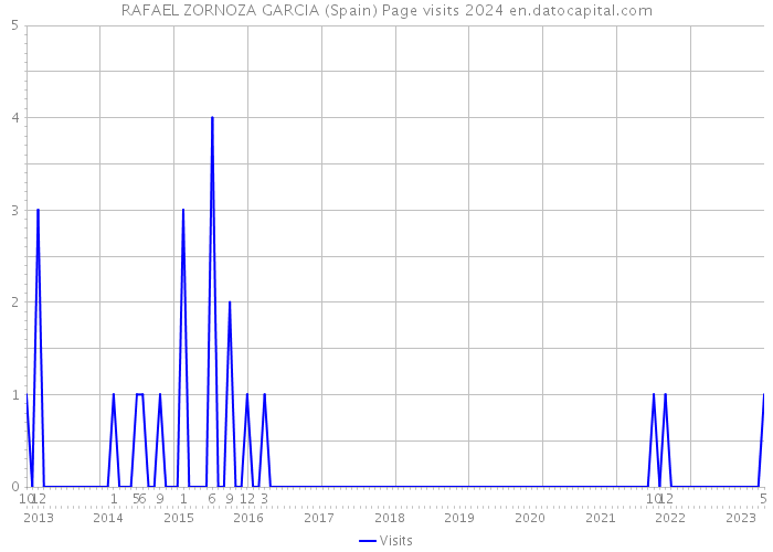 RAFAEL ZORNOZA GARCIA (Spain) Page visits 2024 