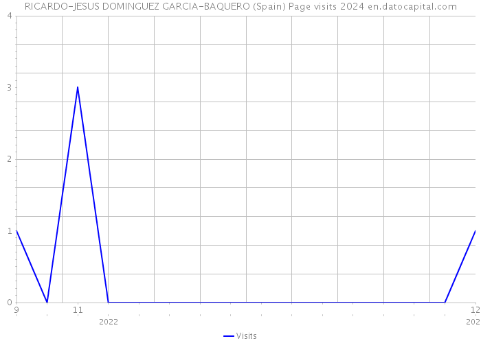 RICARDO-JESUS DOMINGUEZ GARCIA-BAQUERO (Spain) Page visits 2024 