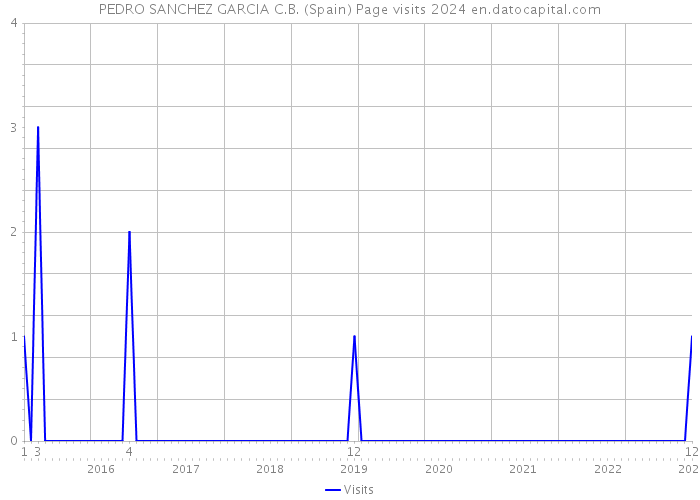 PEDRO SANCHEZ GARCIA C.B. (Spain) Page visits 2024 
