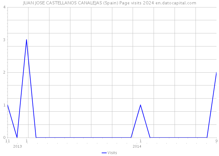 JUAN JOSE CASTELLANOS CANALEJAS (Spain) Page visits 2024 