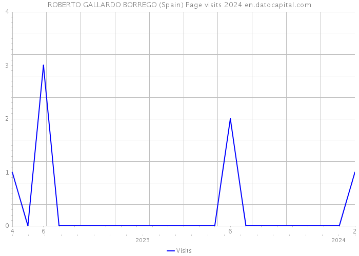ROBERTO GALLARDO BORREGO (Spain) Page visits 2024 