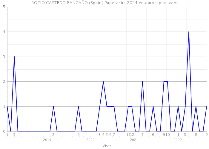ROCIO CASTEDO RANCAÑO (Spain) Page visits 2024 