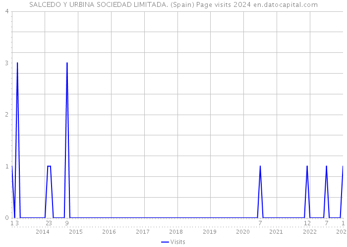 SALCEDO Y URBINA SOCIEDAD LIMITADA. (Spain) Page visits 2024 
