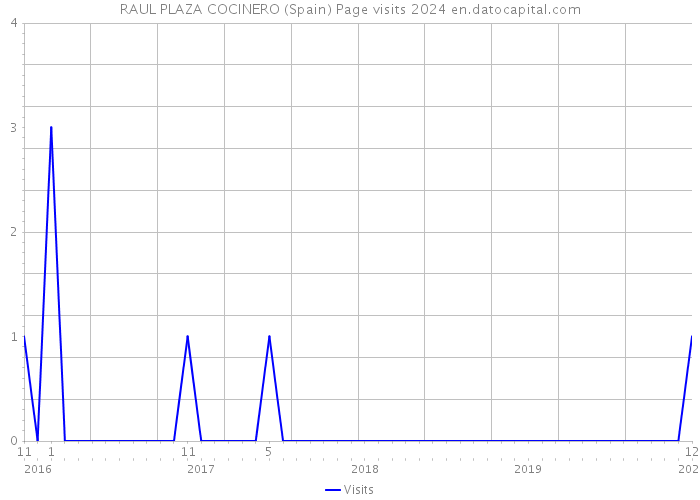 RAUL PLAZA COCINERO (Spain) Page visits 2024 