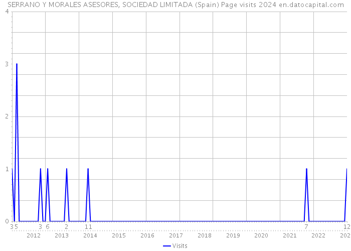 SERRANO Y MORALES ASESORES, SOCIEDAD LIMITADA (Spain) Page visits 2024 