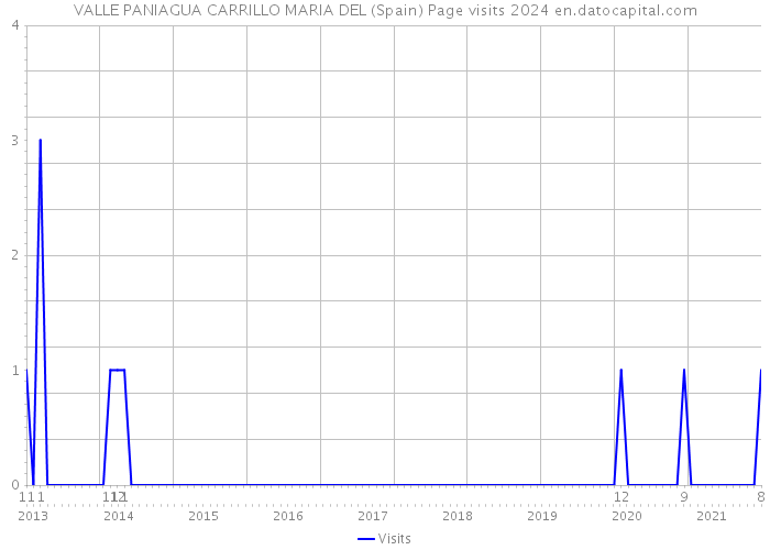 VALLE PANIAGUA CARRILLO MARIA DEL (Spain) Page visits 2024 
