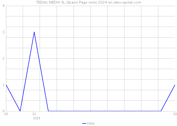 TEDIAL MEDIA SL (Spain) Page visits 2024 
