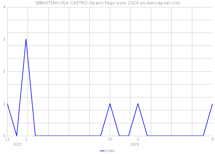 SEBASTIAN VILA CASTRO (Spain) Page visits 2024 