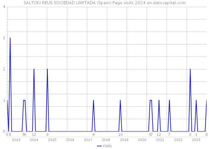 SALTOKI REUS SOCIEDAD LIMITADA (Spain) Page visits 2024 