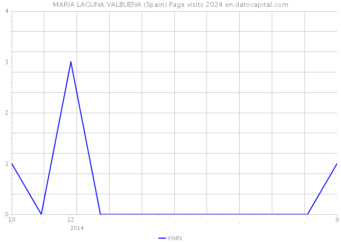 MARIA LAGUNA VALBUENA (Spain) Page visits 2024 
