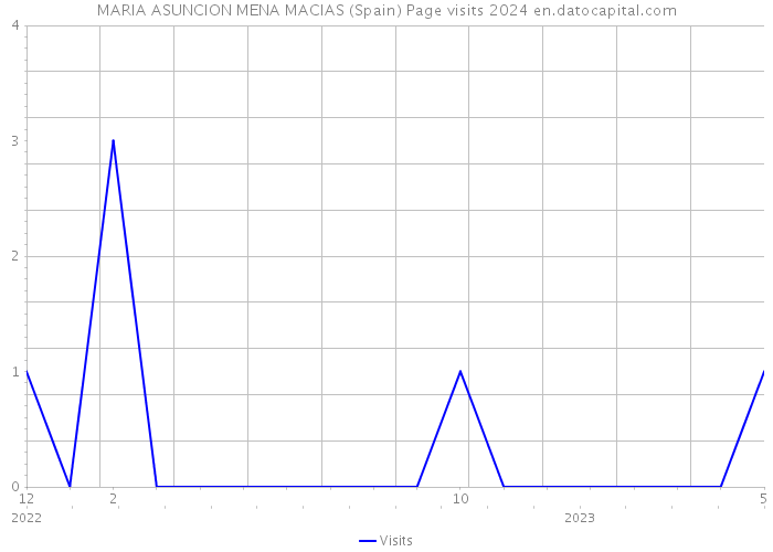 MARIA ASUNCION MENA MACIAS (Spain) Page visits 2024 
