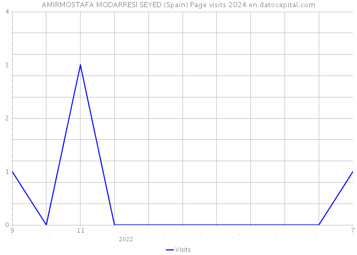 AMIRMOSTAFA MODARRESI SEYED (Spain) Page visits 2024 