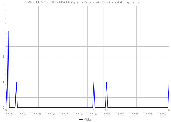 MIGUEL MORENO ZAPATA (Spain) Page visits 2024 