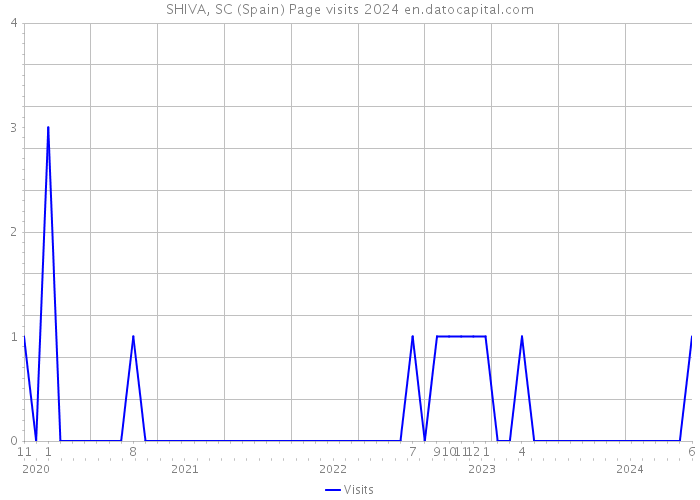 SHIVA, SC (Spain) Page visits 2024 