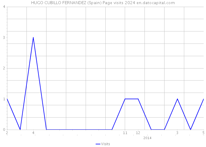 HUGO CUBILLO FERNANDEZ (Spain) Page visits 2024 