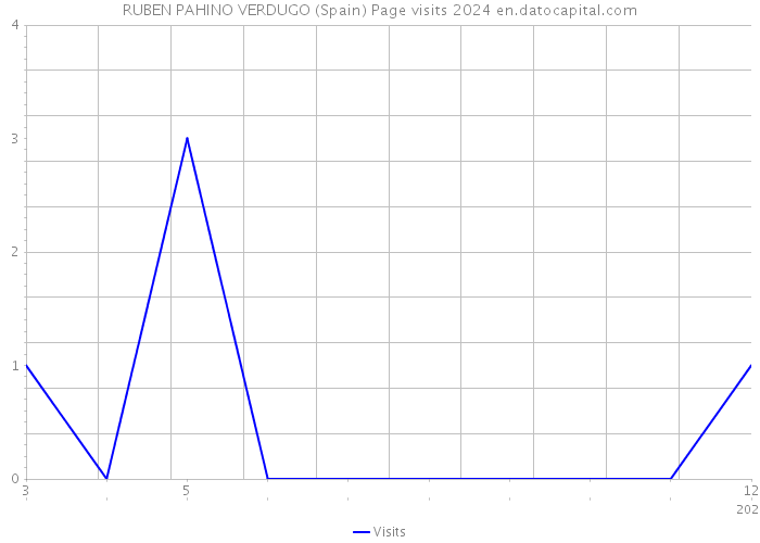 RUBEN PAHINO VERDUGO (Spain) Page visits 2024 