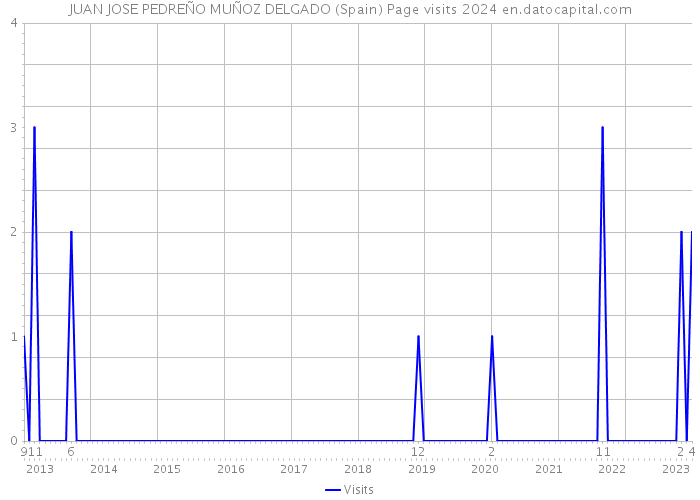 JUAN JOSE PEDREÑO MUÑOZ DELGADO (Spain) Page visits 2024 