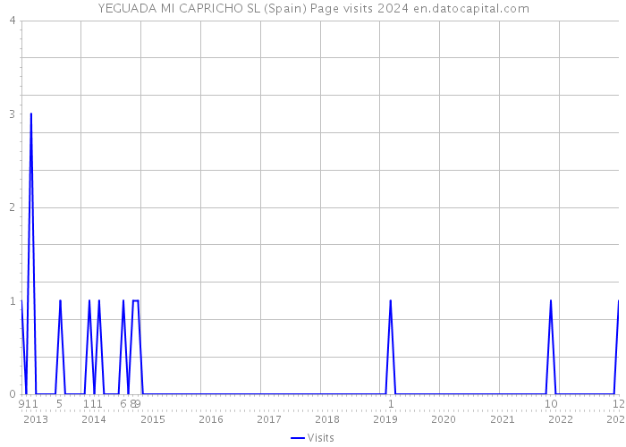 YEGUADA MI CAPRICHO SL (Spain) Page visits 2024 