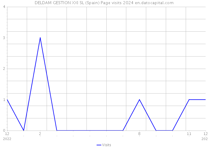 DELDAM GESTION XXI SL (Spain) Page visits 2024 
