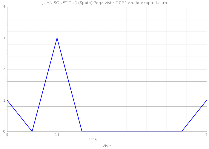 JUAN BONET TUR (Spain) Page visits 2024 