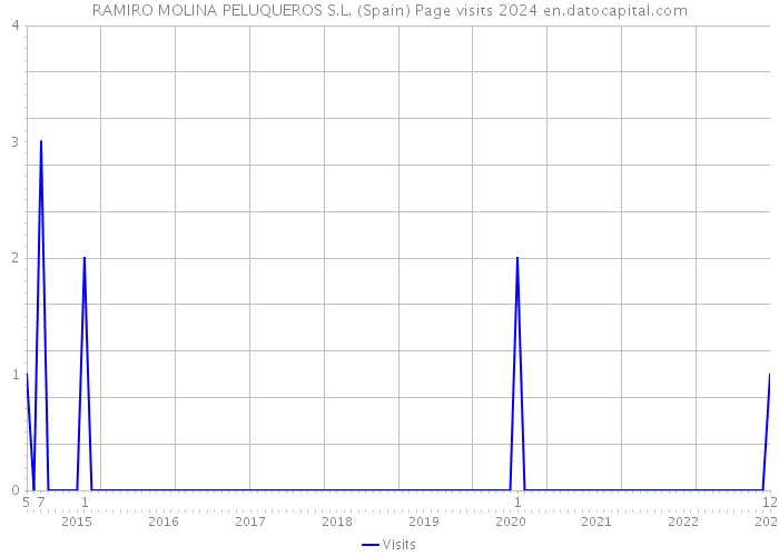 RAMIRO MOLINA PELUQUEROS S.L. (Spain) Page visits 2024 