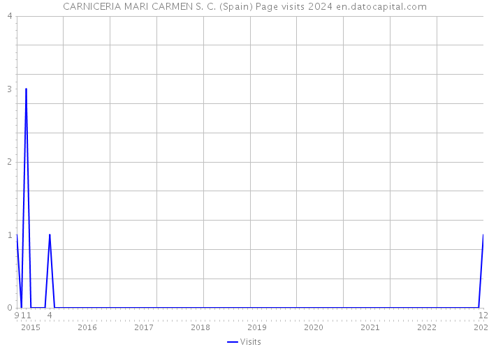 CARNICERIA MARI CARMEN S. C. (Spain) Page visits 2024 