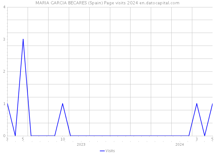 MARIA GARCIA BECARES (Spain) Page visits 2024 