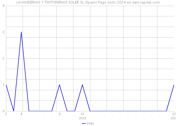 LAVANDERIAS Y TINTORERIAS SOLER SL (Spain) Page visits 2024 