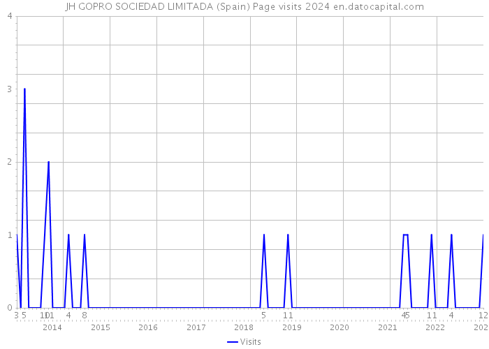 JH GOPRO SOCIEDAD LIMITADA (Spain) Page visits 2024 