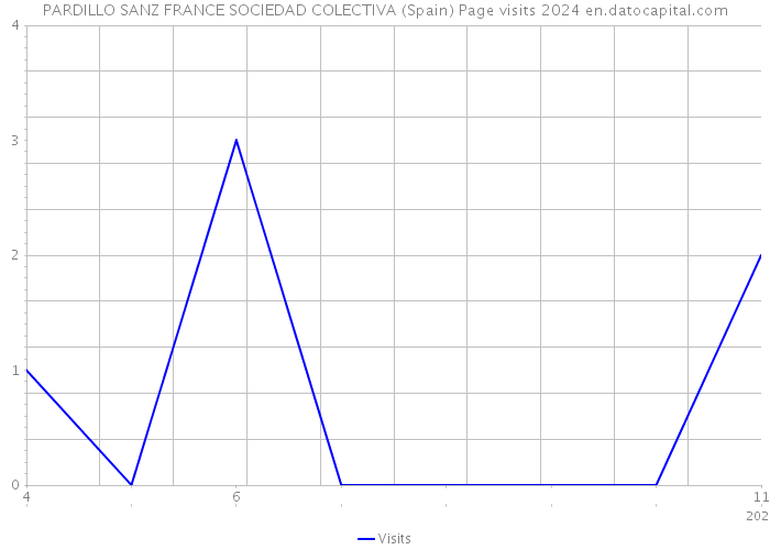 PARDILLO SANZ FRANCE SOCIEDAD COLECTIVA (Spain) Page visits 2024 