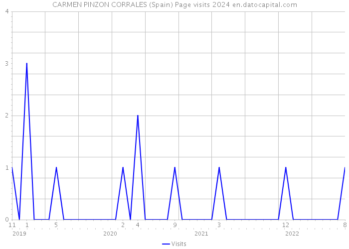 CARMEN PINZON CORRALES (Spain) Page visits 2024 