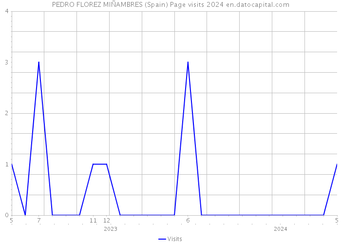 PEDRO FLOREZ MIÑAMBRES (Spain) Page visits 2024 