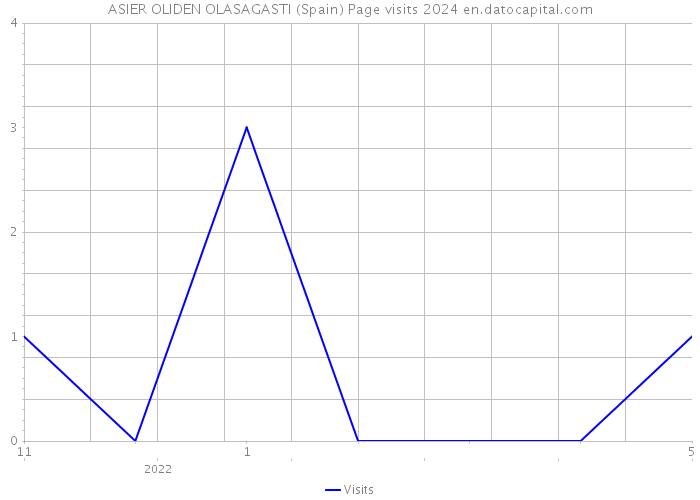ASIER OLIDEN OLASAGASTI (Spain) Page visits 2024 