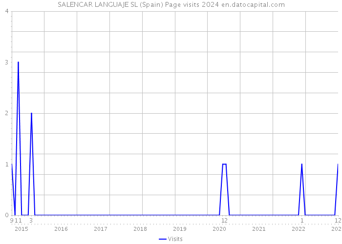 SALENCAR LANGUAJE SL (Spain) Page visits 2024 
