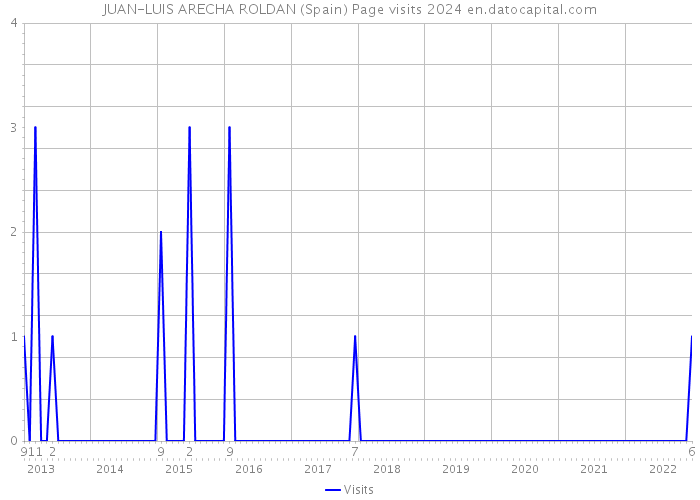 JUAN-LUIS ARECHA ROLDAN (Spain) Page visits 2024 