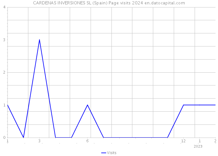 CARDENAS INVERSIONES SL (Spain) Page visits 2024 