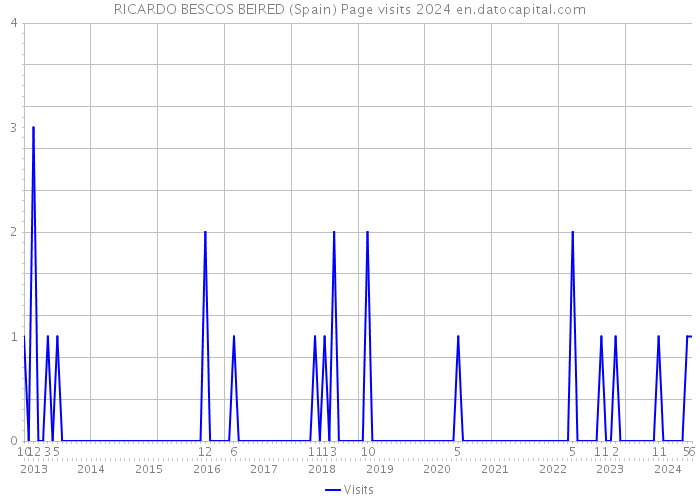 RICARDO BESCOS BEIRED (Spain) Page visits 2024 