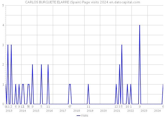 CARLOS BURGUETE ELARRE (Spain) Page visits 2024 