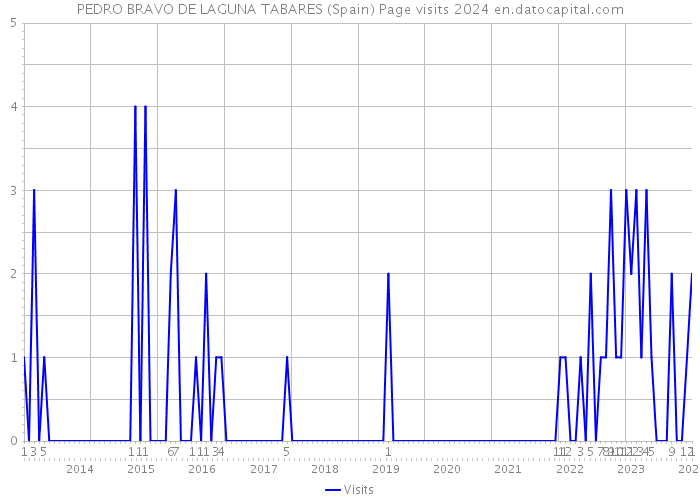 PEDRO BRAVO DE LAGUNA TABARES (Spain) Page visits 2024 