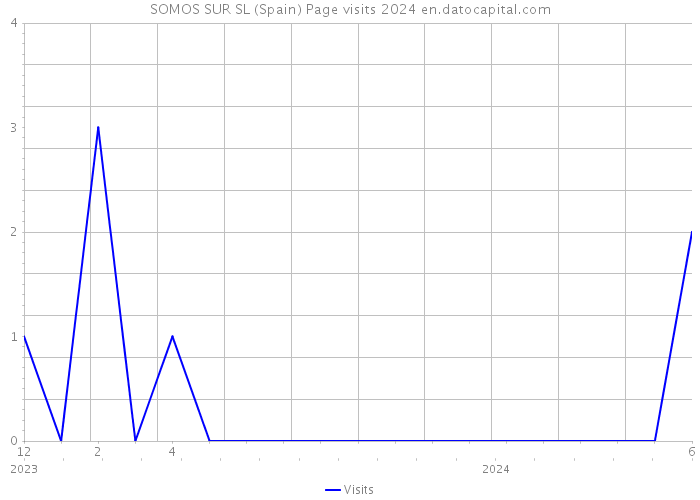 SOMOS SUR SL (Spain) Page visits 2024 