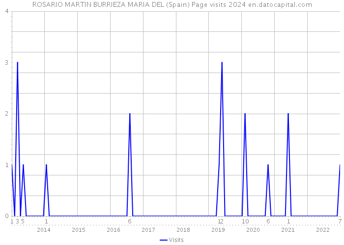 ROSARIO MARTIN BURRIEZA MARIA DEL (Spain) Page visits 2024 