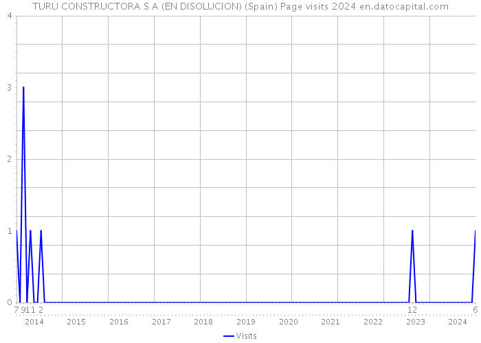 TURU CONSTRUCTORA S A (EN DISOLUCION) (Spain) Page visits 2024 