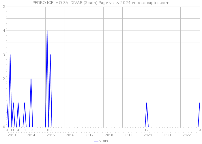 PEDRO IGELMO ZALDIVAR (Spain) Page visits 2024 