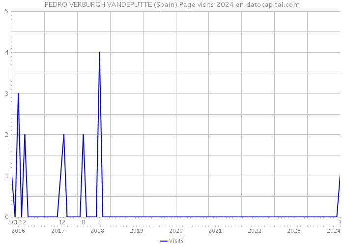 PEDRO VERBURGH VANDEPUTTE (Spain) Page visits 2024 