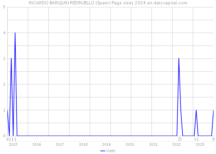 RICARDO BARQUIN REDRUELLO (Spain) Page visits 2024 