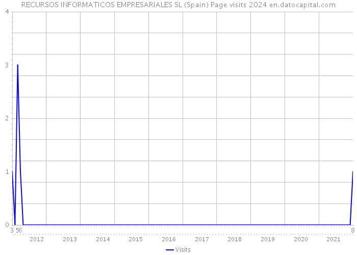RECURSOS INFORMATICOS EMPRESARIALES SL (Spain) Page visits 2024 